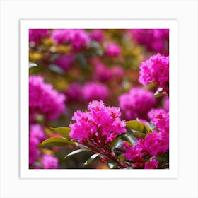 Rhododendron Art Print