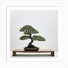 An Isolated Bonsai Tree Stands Resilient Amid A Zen Like Minimalist Setting Casting Soft Muted Sha Art Print