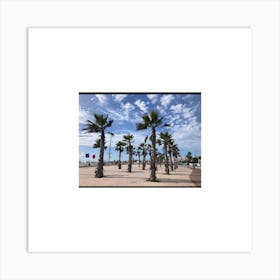 Palm Trees On The Beach Art Print