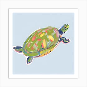 Painted Turtle 07 Art Print