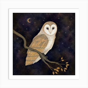 Barn Owl Art Print