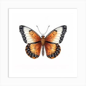 Butterfly 23 Art Print