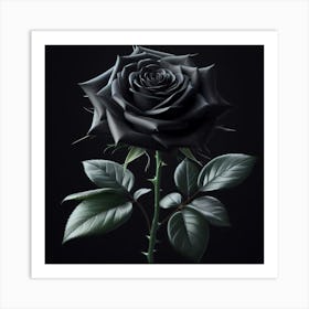 Black Rose 3 Art Print