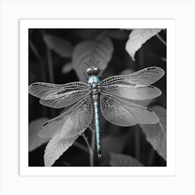 Dragonfly 10 Art Print