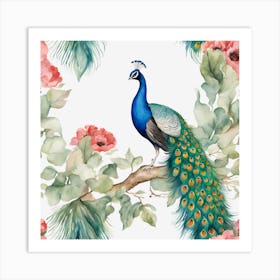 Peacock Bird Feathers Animal Art Print