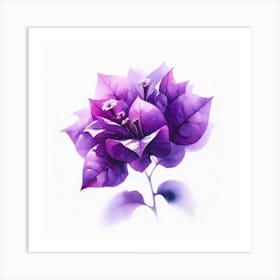 Purple Bougainvillea Art Print