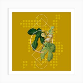 Vintage Figs Botanical with Geometric Line Motif and Dot Pattern n.0387 Art Print