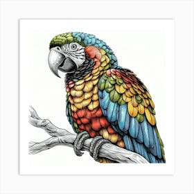 Line Art Ara parrot 1 Art Print