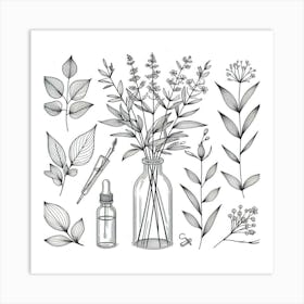 Botanical Illustration 1 Art Print