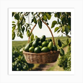 Avocados In A Basket Art Print