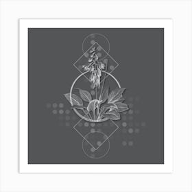 Vintage Daylily Botanical with Line Motif and Dot Pattern in Ghost Gray n.0073 Art Print
