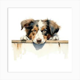 Australian Shepherd 5 Art Print