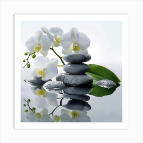 White Orchids And Stones Photo Art Print