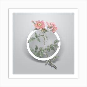 Vintage Lady Monson Rose Bloom Minimalist Flower Geometric Circle on Soft Gray n.0377 Art Print