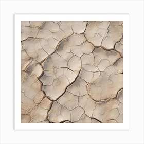 Dry Cracked Earth 6 Art Print