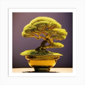 Bonsai Tree In A Pot Art Print