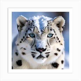 Snow Leopard 11 Art Print