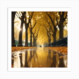 Avenue of Golden Sycamore Trees after the Rain Art Print