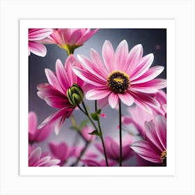 Pink Daisies Art Print