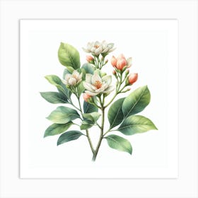 Flowers of Ficus Art Print