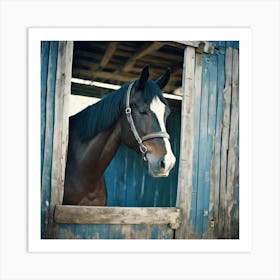 Horse In Stall Art Print