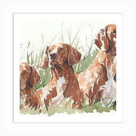 Three Irish Setters Art Print