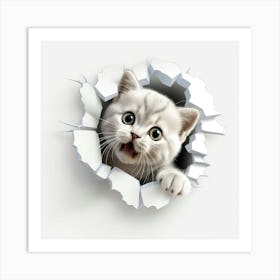 British Shorthair Kitten Art Print