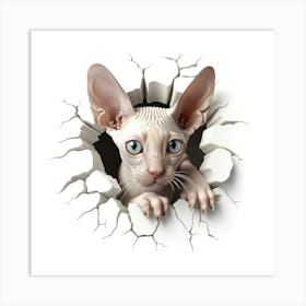 Sphynx Cat 2 Art Print