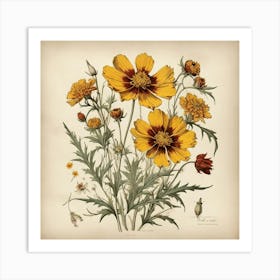 Coreopsis Wildflower Vintage Botanical Art Print 3 Art Print