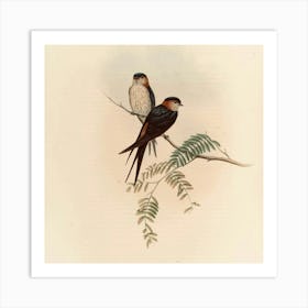 Two Swallows Perched On A Branch 1 Art Print