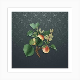 Vintage Apricot Botanical on Slate Gray Pattern n.1662 Art Print