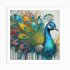 Peacock art print  Art Print