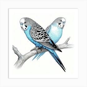 Line Art budgerigar 3 Art Print