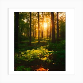 Sunrise In The Forest 3 Art Print