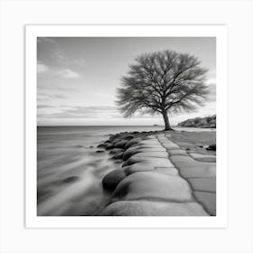 Lone Tree 6 Art Print