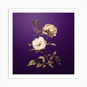 Gold Botanical Ever Blowing Rose on Royal Purple n.1919 Art Print