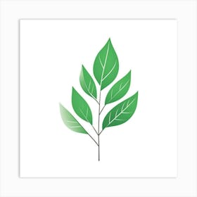 Green Leaf Art Print