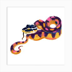 King Snake 04 Art Print