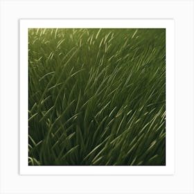 Grassy Field 1 Art Print