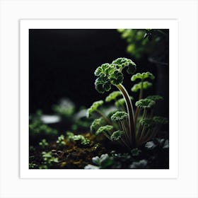 Small Plants In A Pot Art Print