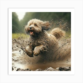 Dog Running In Mud 6 Art Print