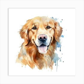 Golden Retriever Watercolor Painting 5 Art Print