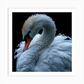 Beautiful Swan 12 Art Print