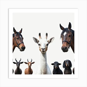 Group Of Horses Art Print