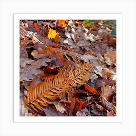 Autumn Art Print