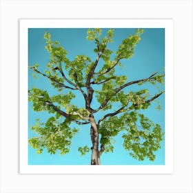 Tree Against A Blue Sky Art Print