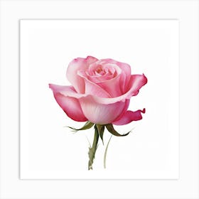 Pink Rose 4 Art Print