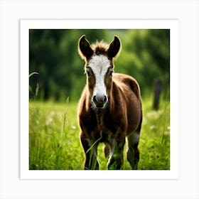 Grass Horse Green Brown Meadow Nature Young Baby Head Mammal Cow Calf Wild Donkey Pony (5) Art Print