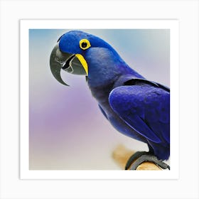 Blue Parrot 3 Art Print