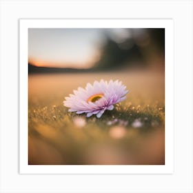 Gerbera Daisy Art Print